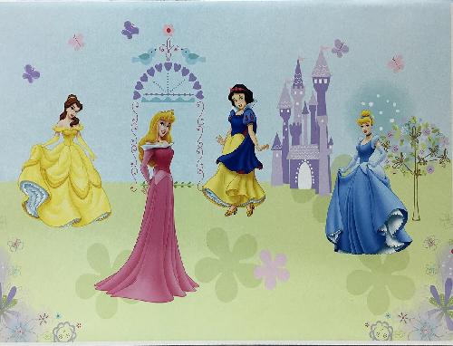 Stock 5 boxes for the mini-box home Princesses Disney-32x23x14cm