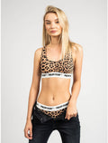 Brown Cotton Underwear - m