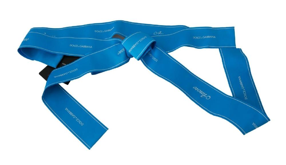 Blue Waist Ribbon Wide Bow Belt - it36-xs