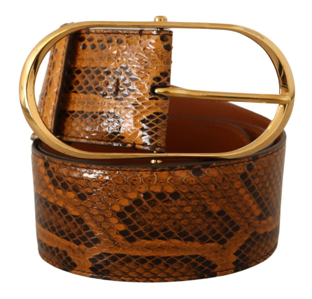 Brown Exotic Leather Gold Oval Buckle Belt - 80-cm-32-inches