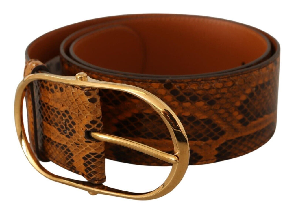 Brown Exotic Leather Gold Oval Buckle Belt - 80-cm-32-inches