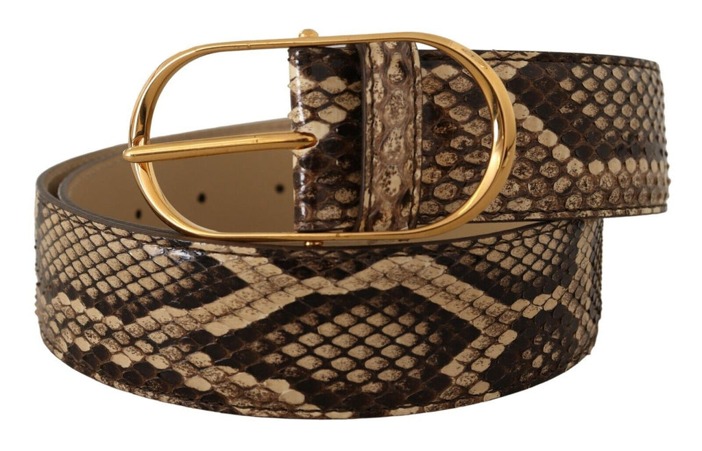Brown Exotic Leather Gold Oval Buckle Belt - 75-cm-30-inches