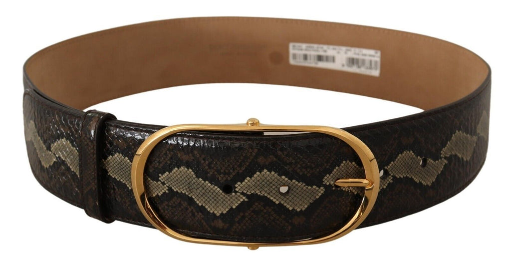 Brown Exotic Leather Gold Oval Buckle Belt - 75-cm-30-inches