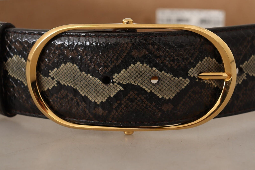 Brown Exotic Leather Gold Oval Buckle Belt - 75-cm-30-inches