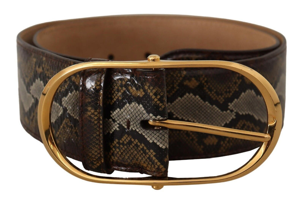 Brown Python Leather Gold Oval Buckle Belt - 80-cm-32-inches