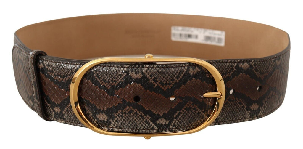 Brown Exotic Leather Gold Oval Buckle Belt - 80-cm-32-inches
