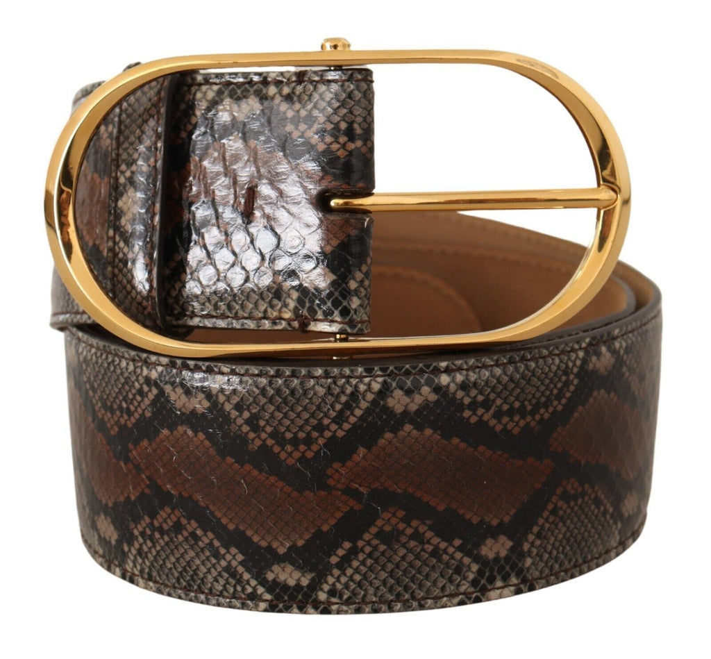 Brown Exotic Leather Gold Oval Buckle Belt - 80-cm-32-inches