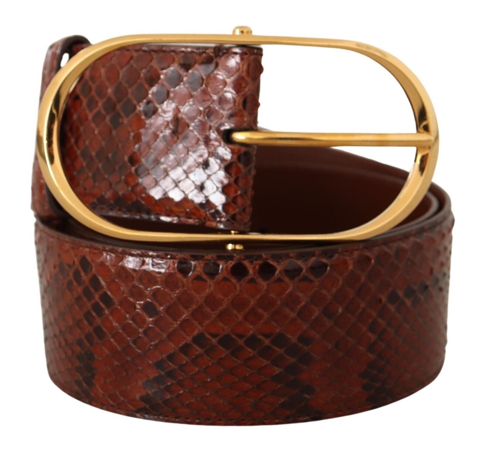 Brown Exotic Leather Gold Oval Buckle Belt - 70-cm-28-inches