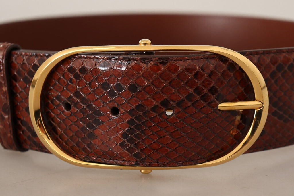 Brown Exotic Leather Gold Oval Buckle Belt - 70-cm-28-inches
