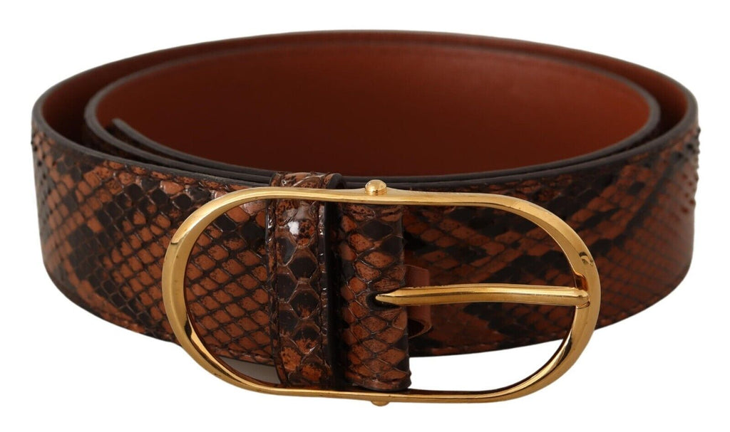 Brown Exotic Leather Gold Oval Buckle Belt - 80-cm-32-inches
