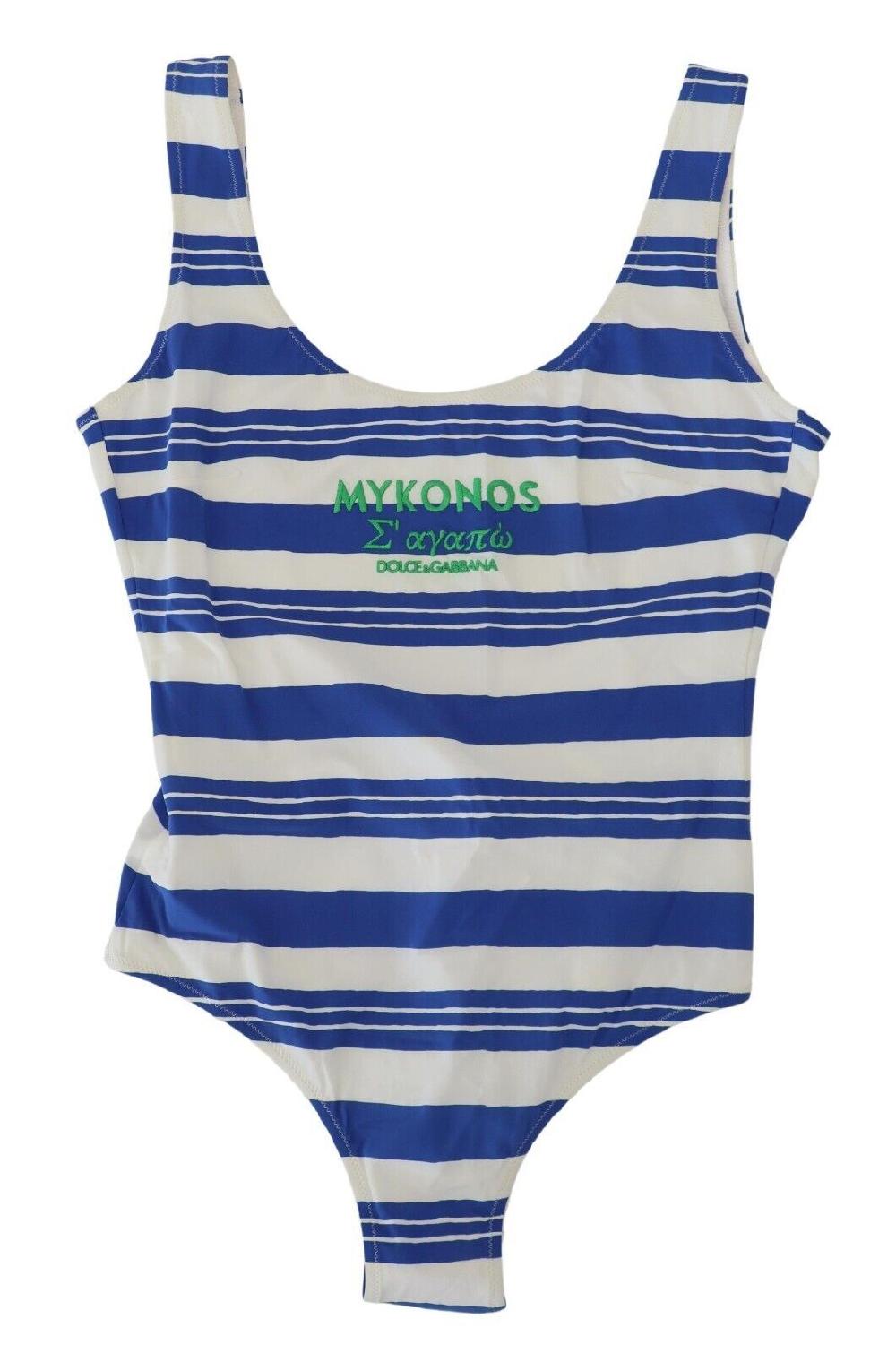 Blue Striped One Piece Women Beachwear Bikini - it2-s