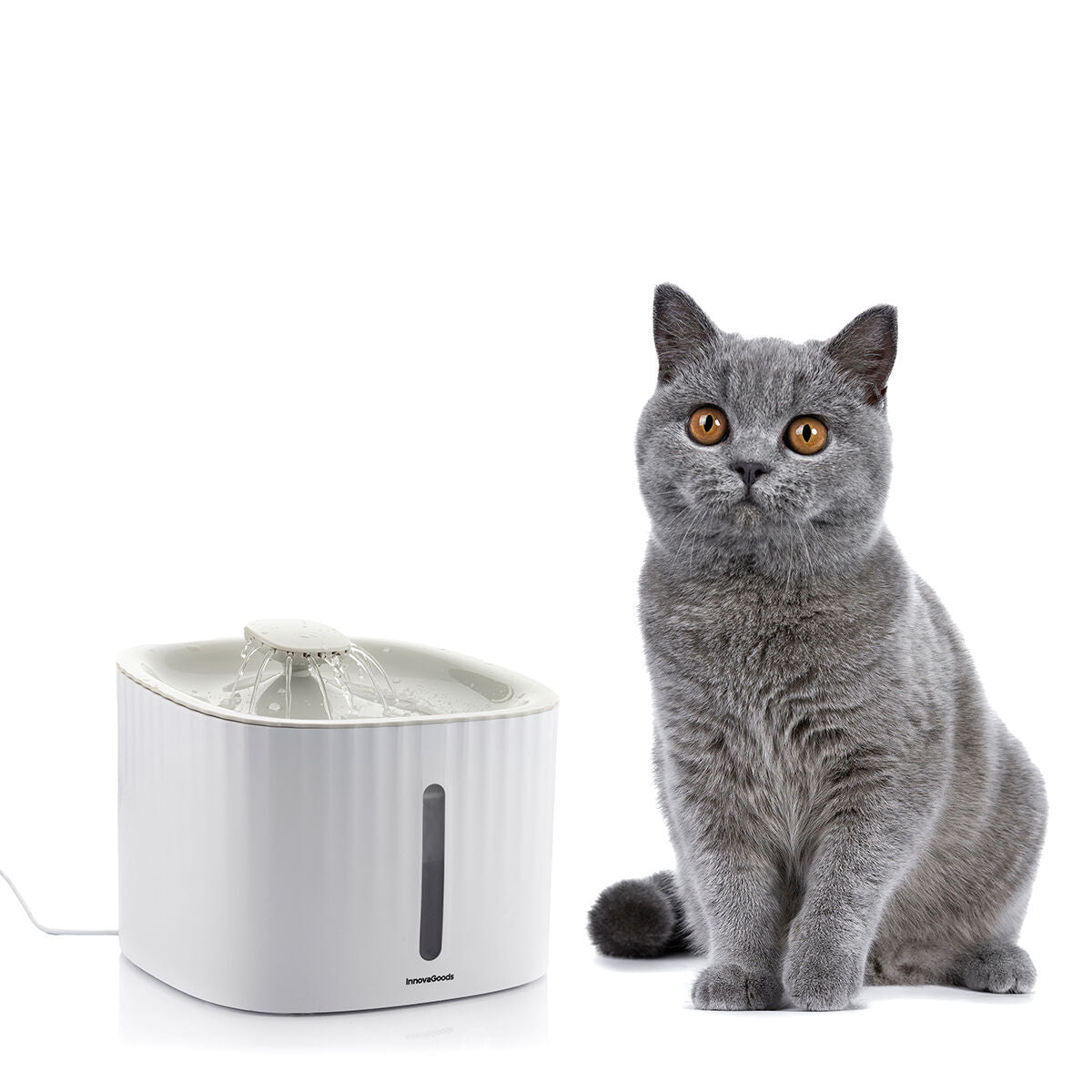 Fontana per Animali Domestici InnovaGoods (Ricondizionati B)