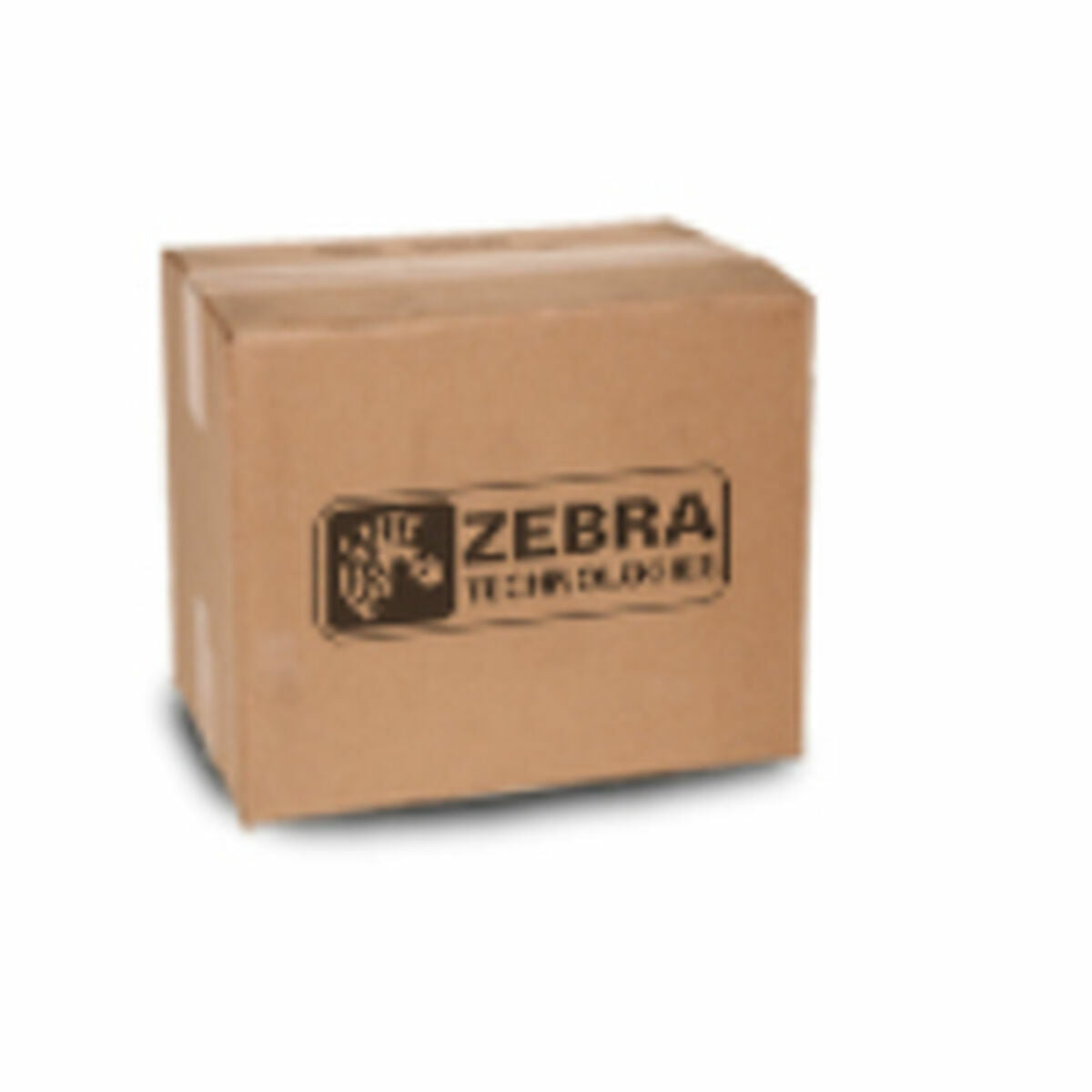 Testina di Ricambio Zebra P1058930-012 (Ricondizionati A)